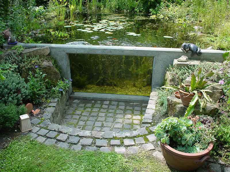 images/bilder/teich-aussen/Teich-Scheibe_oben_800.jpg#joomlaImage://local-images/bilder/teich-aussen/Teich-Scheibe_oben_800.jpg?width=800&height=600